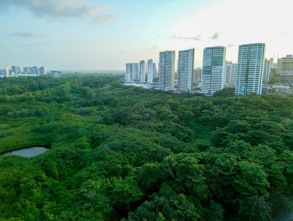 Comment sélectionner le vélo électrique idéal en fonction de vos besoins spécifiques : un guide pratique et personnalisé